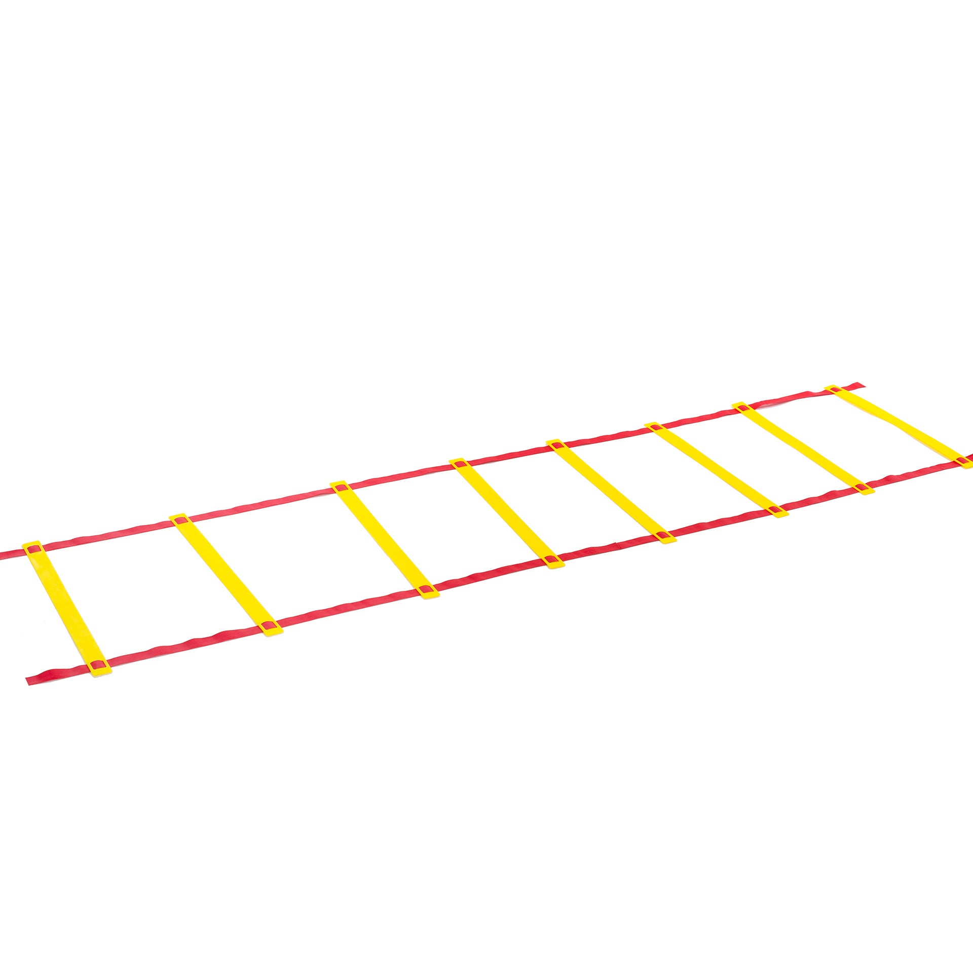 SCHOOL AGILITY LADDER 4M