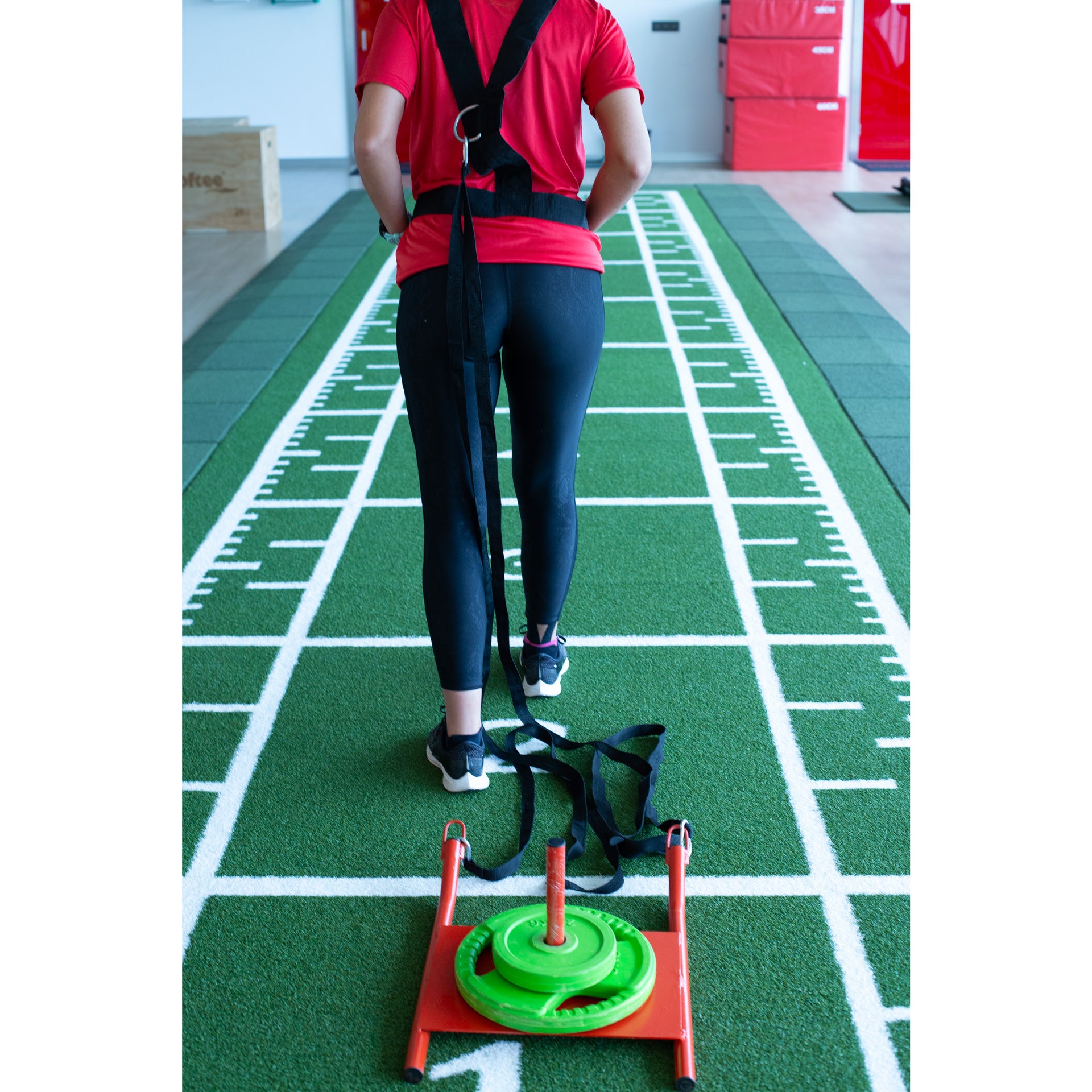 SLED TRAINING