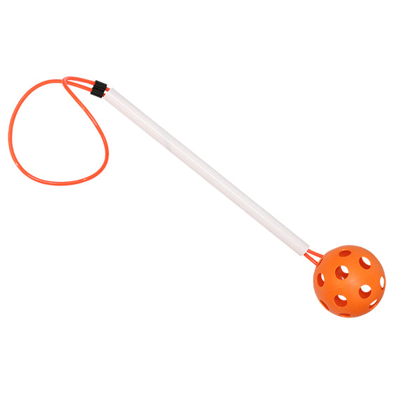 BALL WITH HANDLE