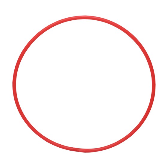 CERCLE DE GYMNASTIQUE RYTHMIQUE ADULTE