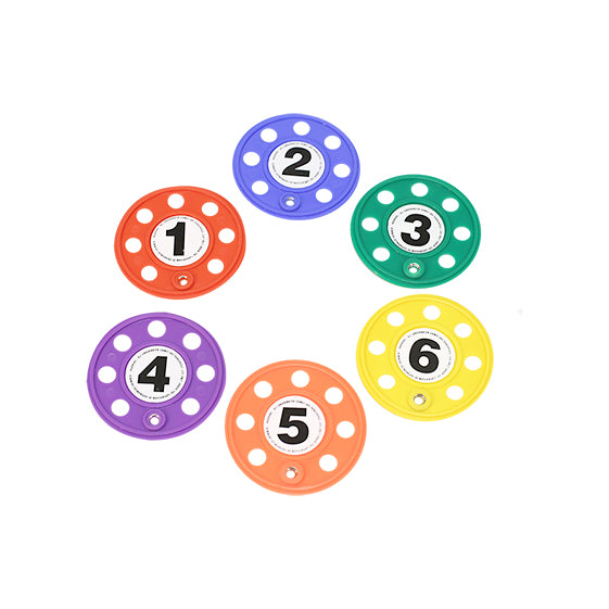 SET OF 6 HOLED DISCS